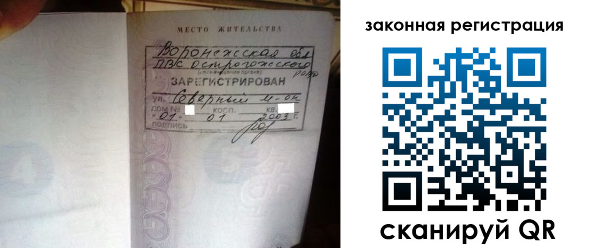 прописка поиск в Новгородской области